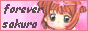 Forever Sakura